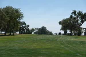 Silver Sage 12th